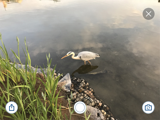 静止画コンテンツ画面