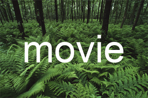 パノラマ動画マーカー