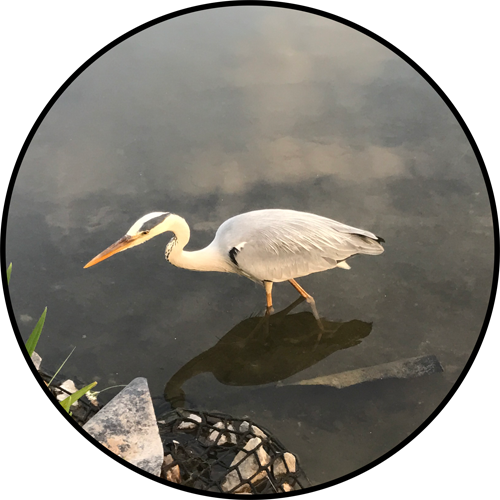 静止画マーカー